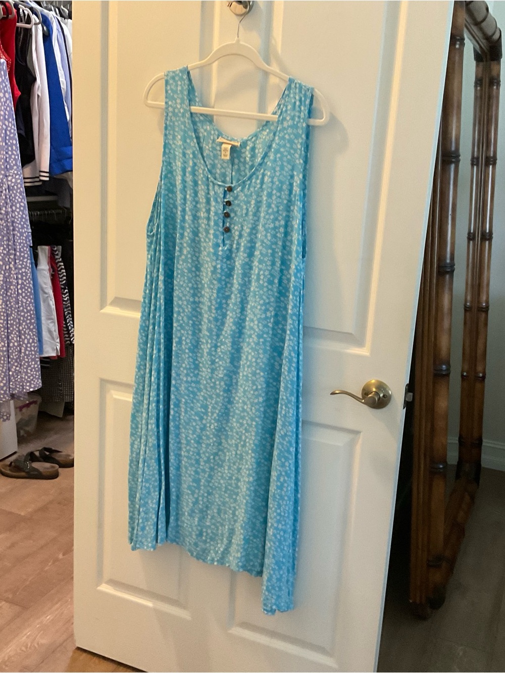 Light Blue Sleeveless Button-Front Swing Dress